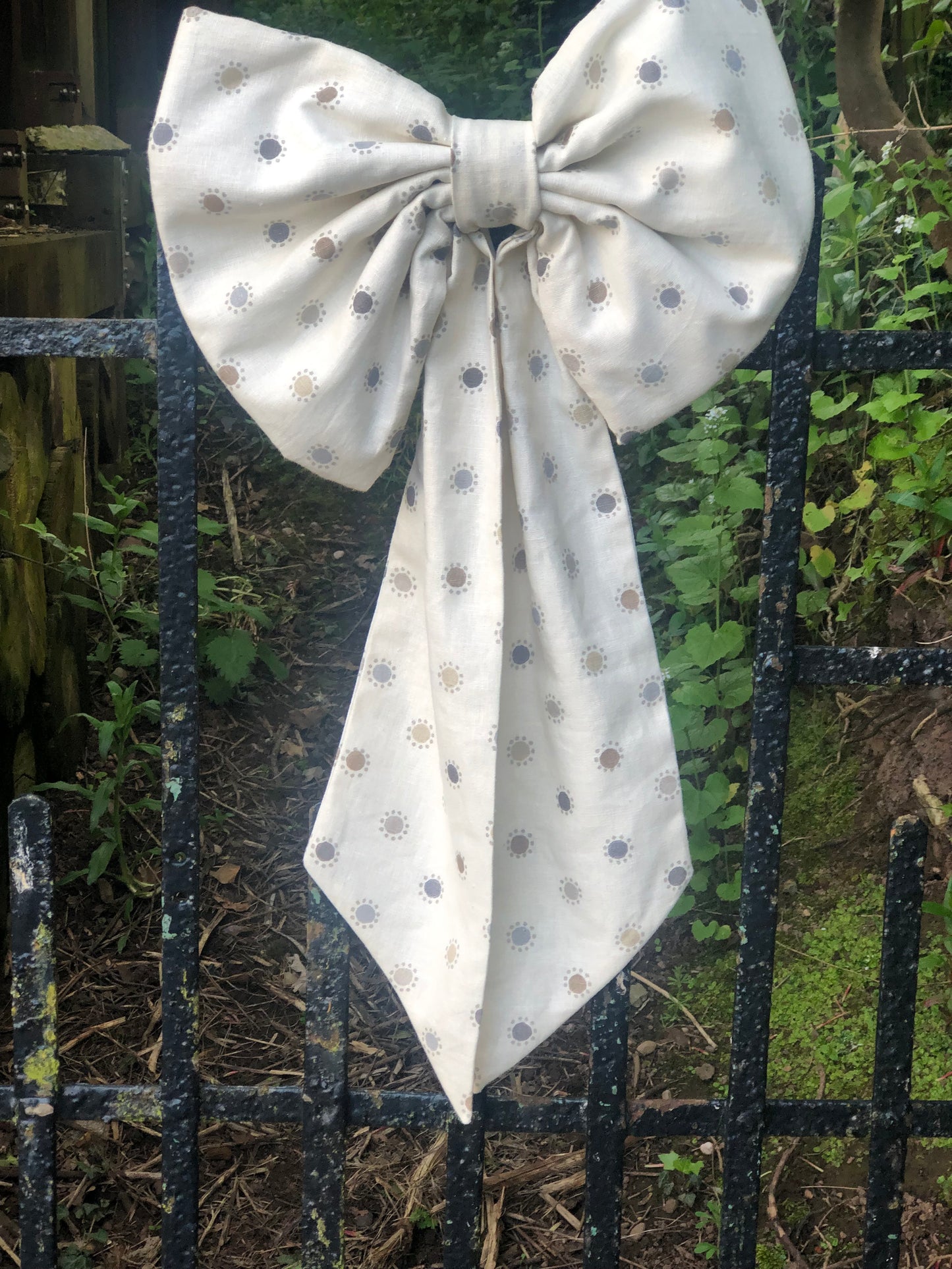 Daisy Spots Big Bow
