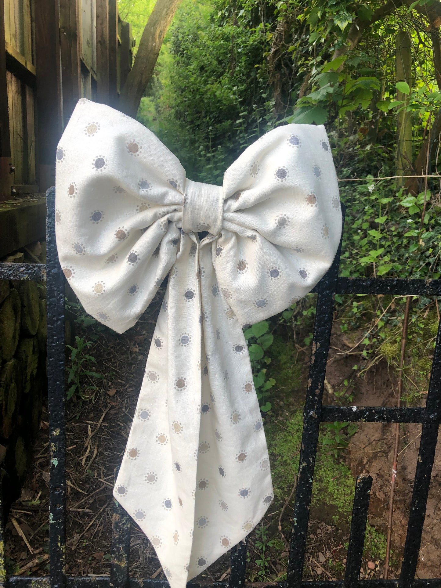Daisy Spots Big Bow